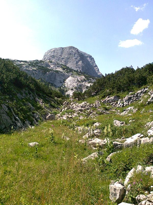 Michels Rckweg I
