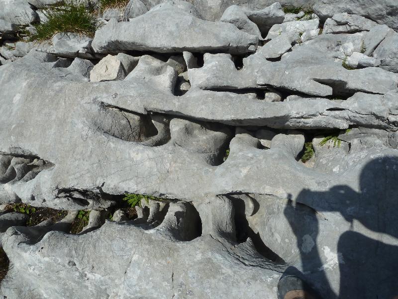 Karst