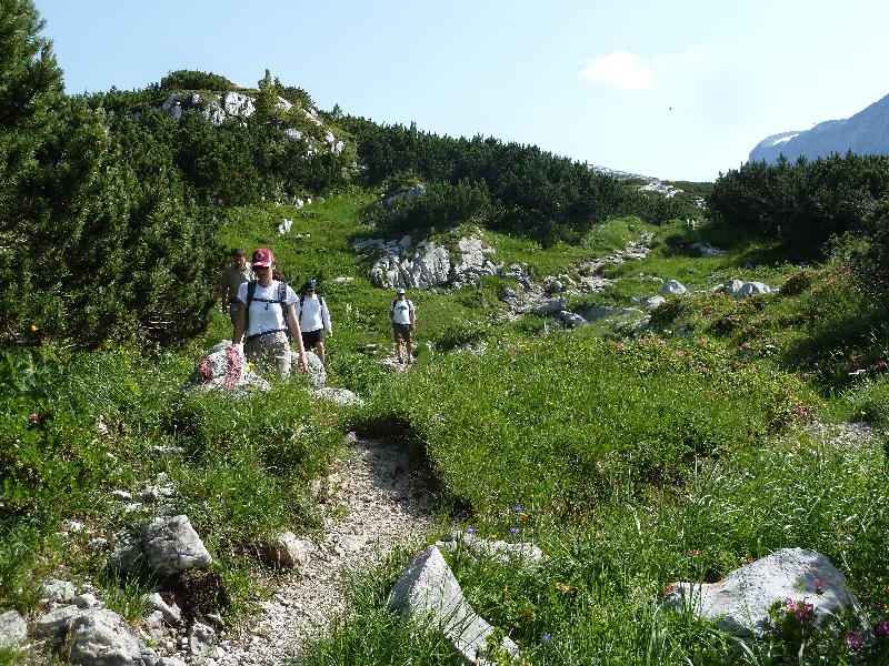 Wiesenmatten auf karstigem Kalk