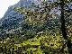 schne Natur