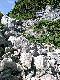 Karst und Blumen