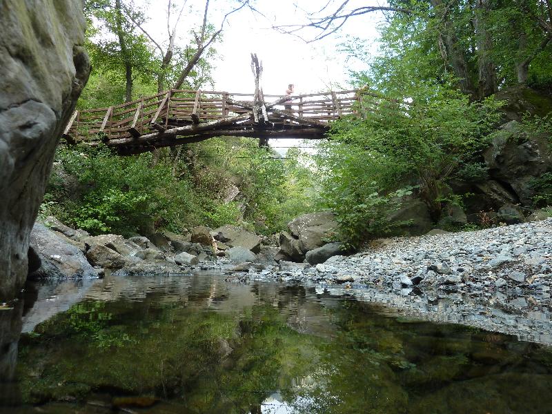 gewagte Brcke