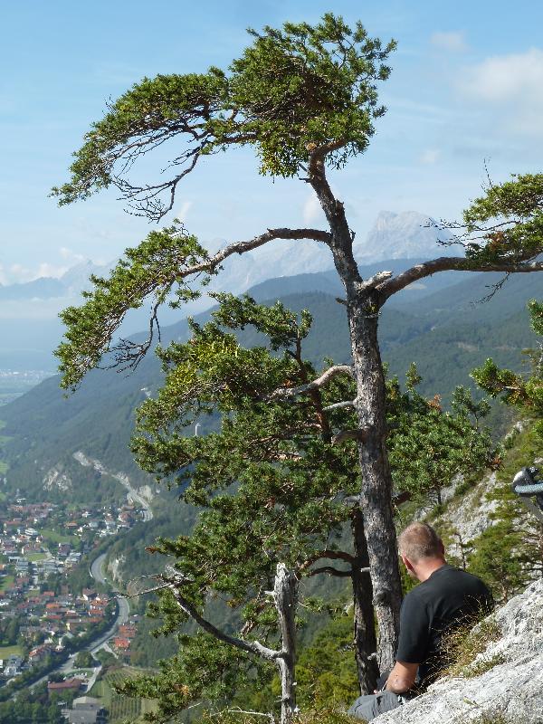 Pause am Baum