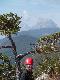Helm und Baum