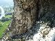 Raus aus der Grotte