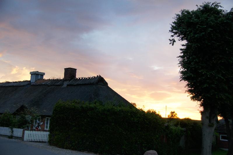 Reetdach