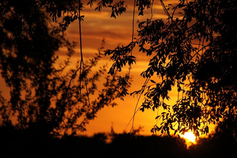 Sonnenuntergangsstimmung I