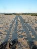 lange Schatten