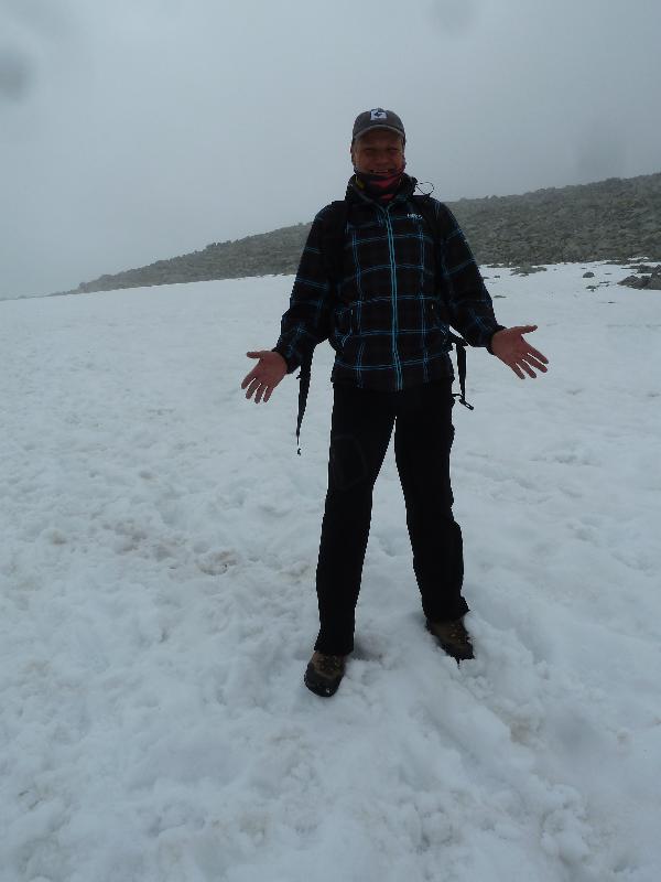 Schneehahn