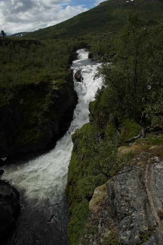 Zulauf