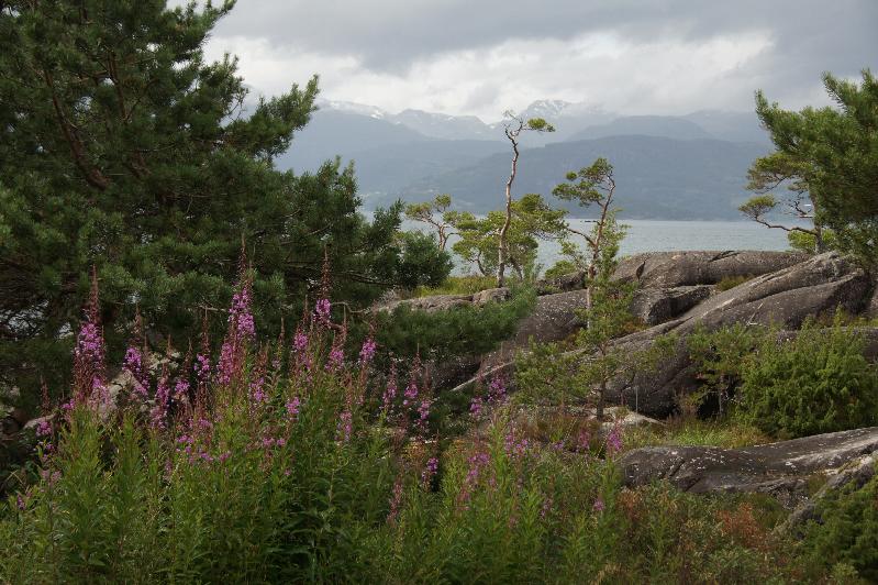 Blumen