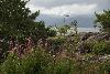 Blumen