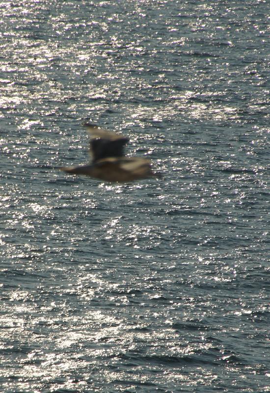 helles Meer