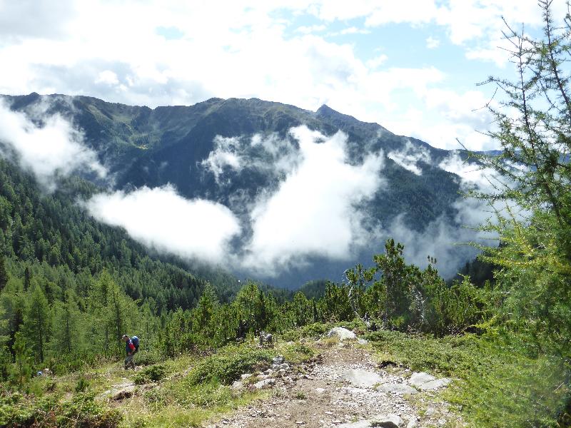 letztes Grün