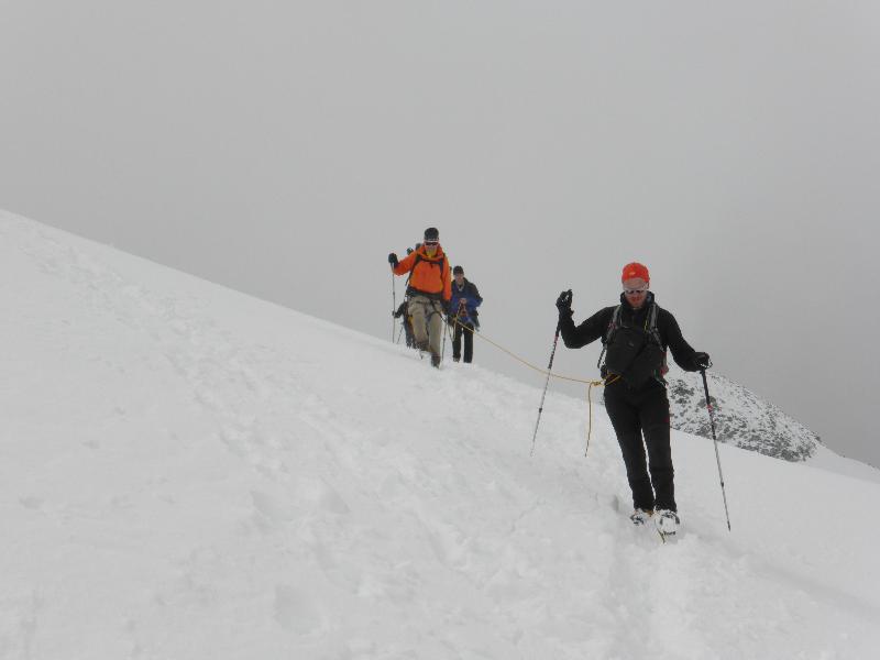 Gletscherwandern IV