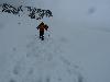 Gletscherwandern II