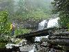 Brücke
