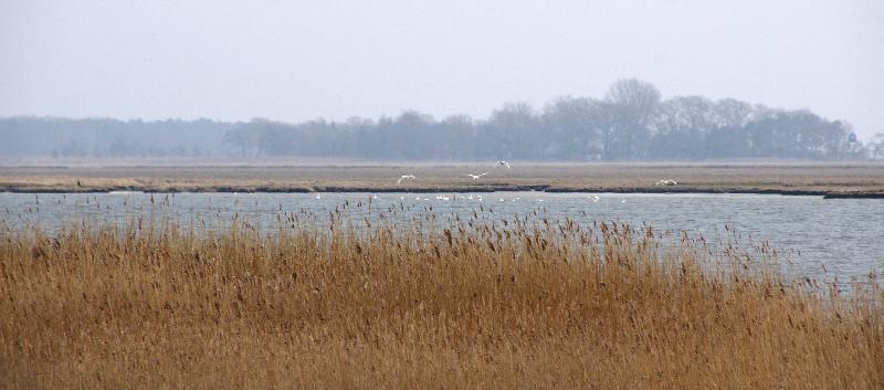Insel Kirr