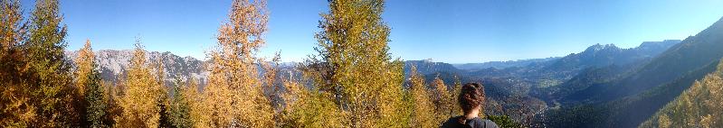 Ausblick