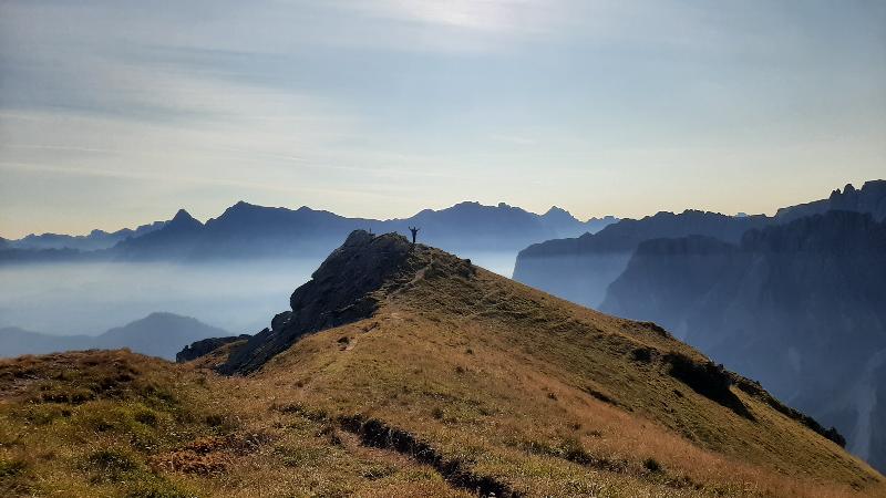Ausblick