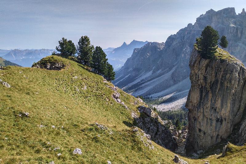 Natur