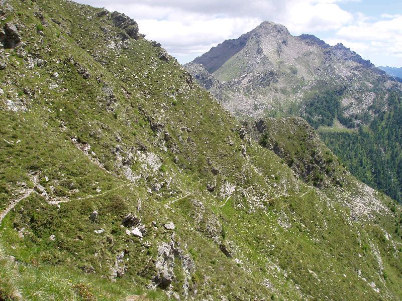 Zielblick
