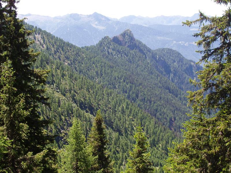 Zielblick