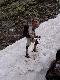 Gert im Schnee