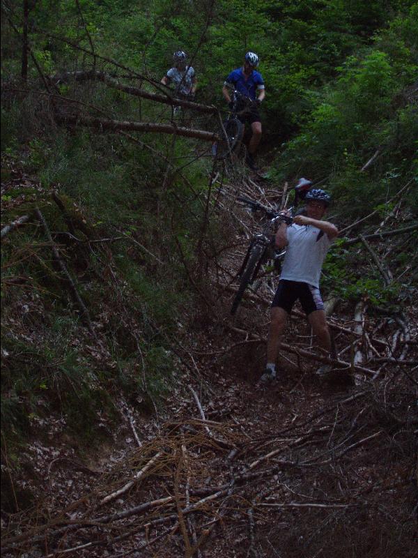 Downhill