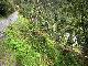 DSCN0902.jpg