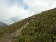 DSCN0932.jpg