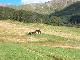 DSCN0938.jpg