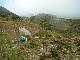DSCN0918.jpg