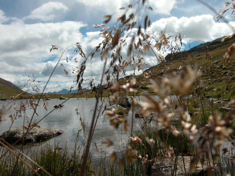DSCN0974.JPG