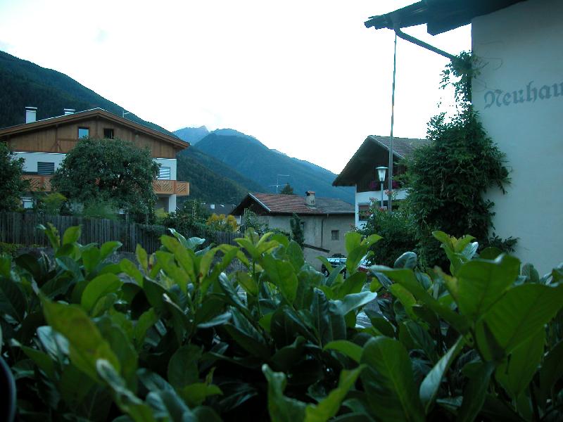 DSCN0989.JPG