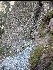 DSCN0956.JPG