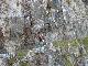 DSCN0958.JPG
