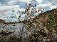 DSCN0974.JPG