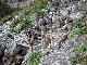 DSCN0953.JPG