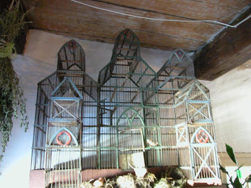 DSCN0991.JPG