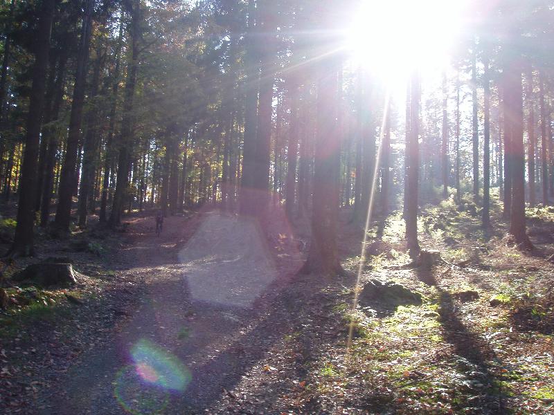 Straf-Weg