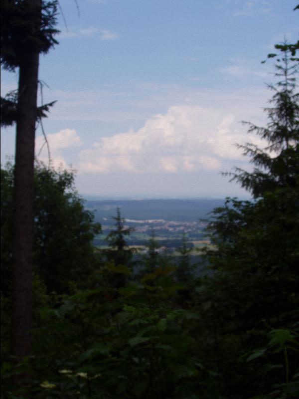Nittenau
