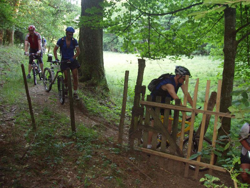Bullenflucht