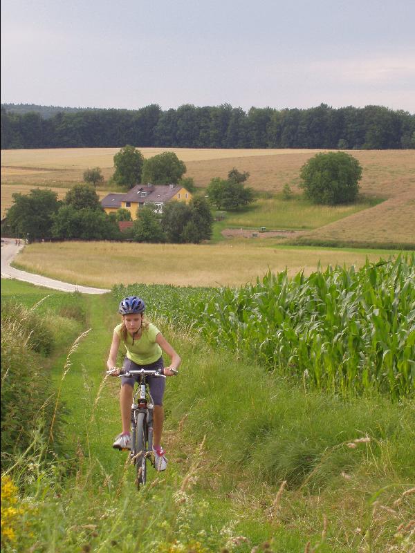Konzentriert