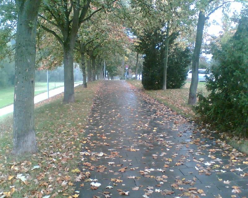 Herbst