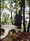 Heldenrecke an Pilz