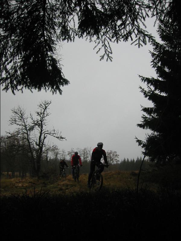 Mhlgrabenweg