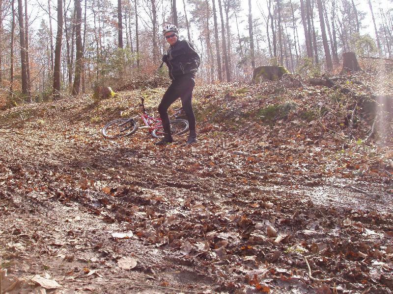 Forest jump