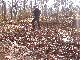 Forest jump