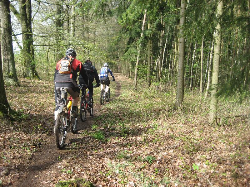 vor'm Baumtunnel